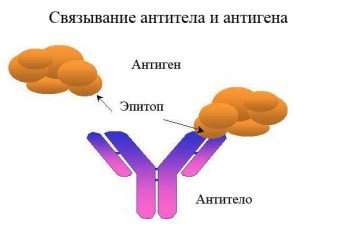 Найден аутоантиген рассеянного склероза