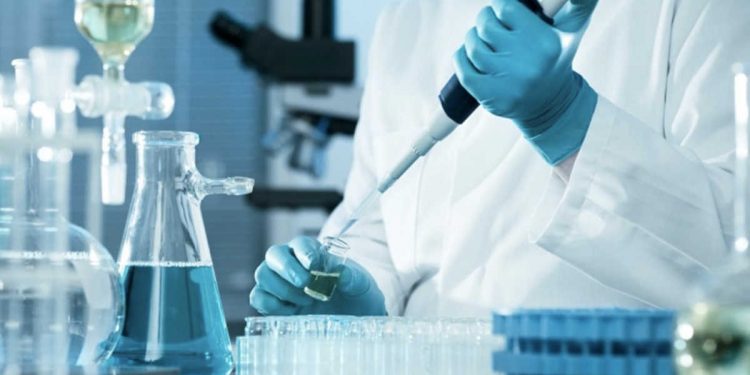 Белок, который превращает определенные Т-клетки в воспалительные агенты, определили в раннем исследовании