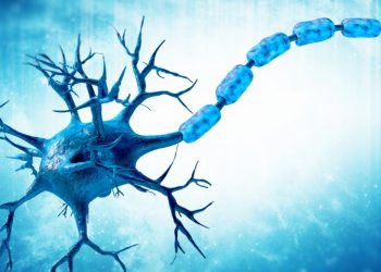 Что такое ремиелинизация и новые лекарства 2019