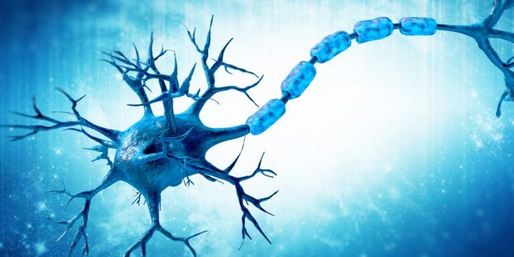 Что такое ремиелинизация и новые лекарства 2019 1 Что такое ремиелинизация и новые лекарства 2019