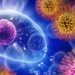 Tecfidera может снизить рецидивы, вызывая эпигенетические изменения в Т-клетках 2 Tecfidera может снизить рецидивы, вызывая эпигенетические изменения в Т-клетках