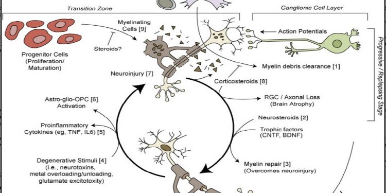 Вред гормональной терапии при рассеянном склерозе 1 Вред гормональной терапии при рассеянном склерозе