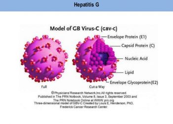 Гепатит G стал причиной Рассеянного склероза.