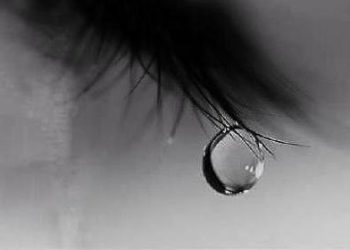 Анализ слез на олигоклональные иммуноглобулины