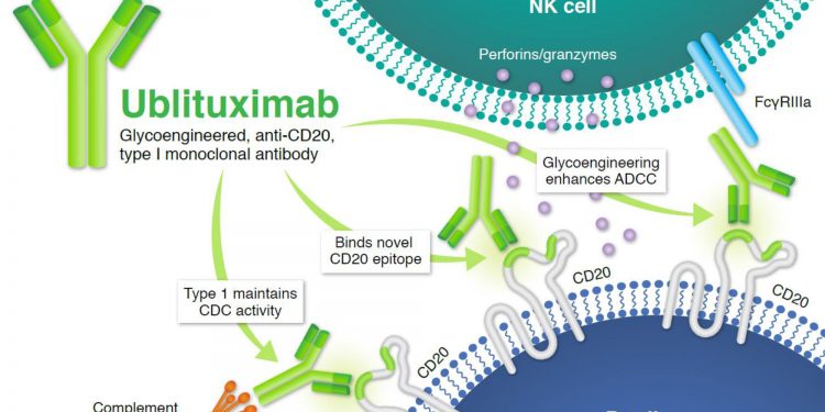 Ублитуксимаб полностью исключил все (100%) поражения при рассеянном склерозе