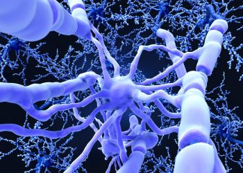 Новая надежда восстановления поврежденного миелина 5 Новая надежда восстановления поврежденного миелина