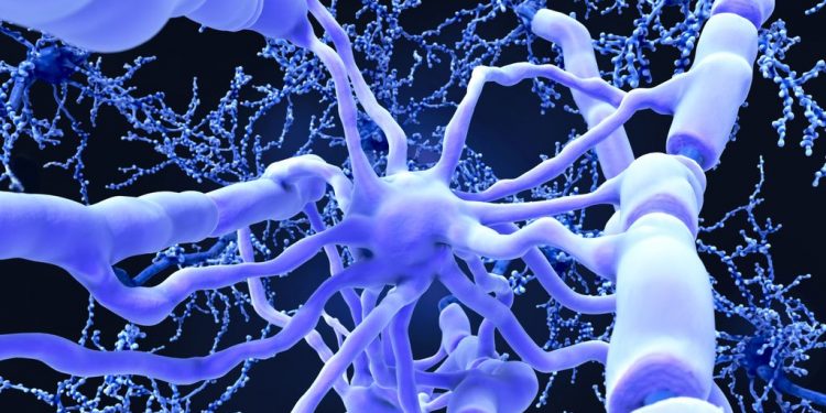 Новая надежда восстановления поврежденного миелина