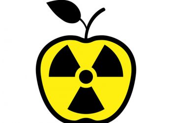 Обширная ремиелинизация ЦНС приводит к функциональному восстановлению 2 Обширная ремиелинизация ЦНС приводит к функциональному восстановлению