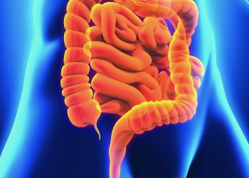 Нет микробиома нет Рассеянного склероза