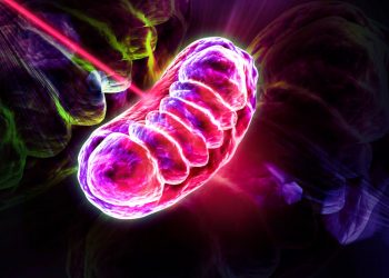 Лазерная терапия восстанавливает повреждения мозга, терапия (LLLT) фотобиомодуляция