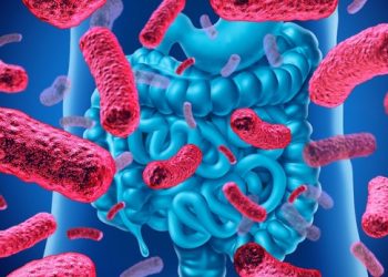 Вызванные стрессом изменения в кишечных бактериях могут увеличить риск аутоиммунных расстройств