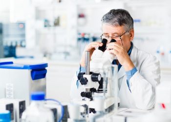 Фибриноген содержащие пузырьки в крови могут играть ключевую роль при рецидивах РС