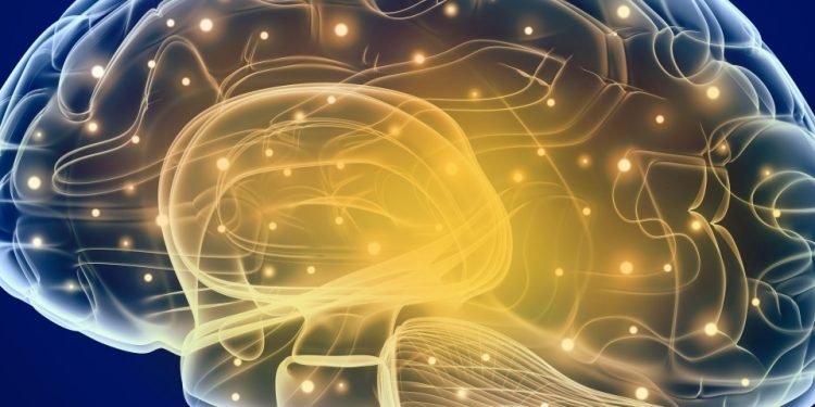 Миелиновая дисфункция при РС и других заболеваниях белого вещества, обнаруженных в связи со специфическими мутациями генов 1 braine