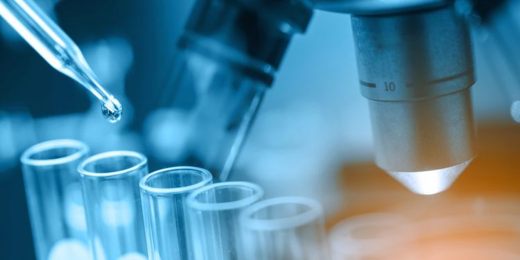 Исследование предполагает, что альфа-синуклеин в сыворотке крови может быть ранним биомаркером Паркинсона 1 Исследование предполагает, что альфа-синуклеин в сыворотке крови может быть ранним биомаркером Паркинсона