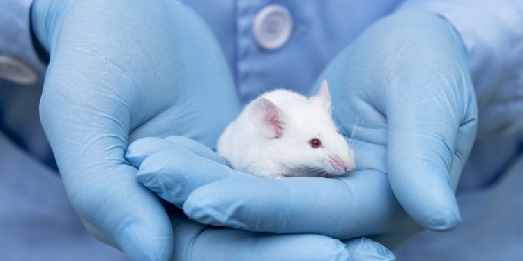 Связанные с гистамином гены могут стать биомаркерами и терапевтическими мишенями при БАС 1 Связанные с гистамином гены могут стать биомаркерами и терапевтическими мишенями при БАС