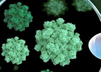 Инфекционные причины рассеянного склероза.