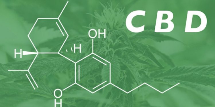 Лечение на основе каннабидиола стимулирует ремиелинизацию у мышей, исследование также запланированное на пациентах с РС 1 Лечение на основе каннабидиола стимулирует ремиелинизацию у мышей, исследование также запланированное на пациентах с РС