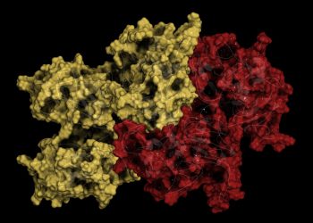 Роль фермента SARM1, в нейродегенерации, подробно изложена в исследованиях