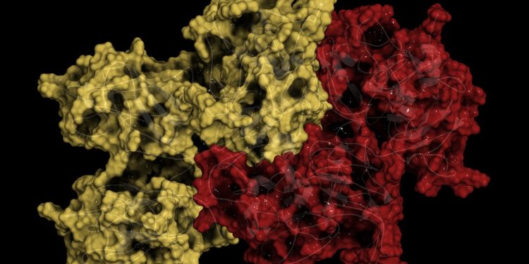 Роль фермента SARM1, в нейродегенерации, подробно изложена в исследованиях 1 Роль фермента SARM1, в нейродегенерации, подробно изложена в исследованиях