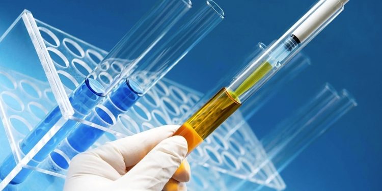 EMD Serono Открытие 3 фазы испытаний перорального эвобрутиниба у пациентов с рецидивирующим РС