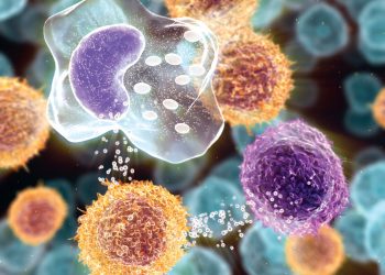 Триггеры для РС и других иммунных заболеваний могут быть Т-клетками в состоянии ранней активации