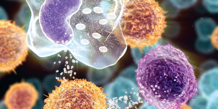 Триггеры для РС и других иммунных заболеваний могут быть Т-клетками в состоянии ранней активации