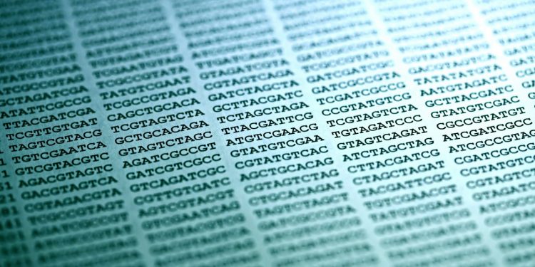 Подробная генетическая карта указывает на широкую дисфункцию иммунной системы у пациентов с рассеянным склерозом гена расположенного в Х-хромосоме.