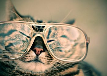 Найдены мутации в 3 генах, связанные с потерей зрения при рассеянном склерозе