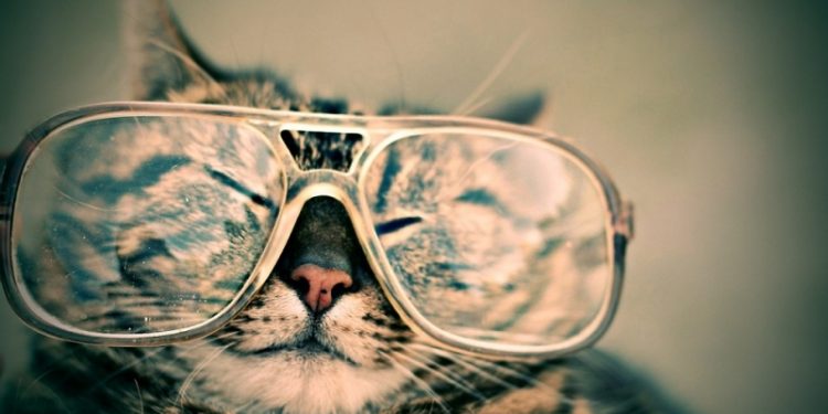 Найдены мутации в 3 генах, связанные с потерей зрения при рассеянном склерозе 1 Найдены мутации в 3 генах, связанные с потерей зрения при рассеянном склерозе