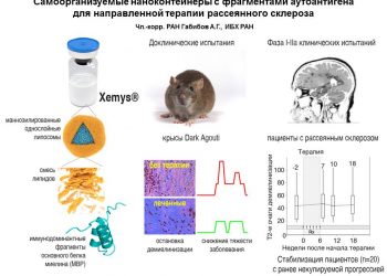 Опубликованы новые данные клинических испытаний экспериментальной терапевтической вакцины против РС, Xemys