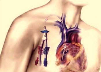 Расписание протокола ведения аТГСК при рассеянном склерозе