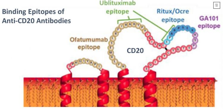 офатумумаб