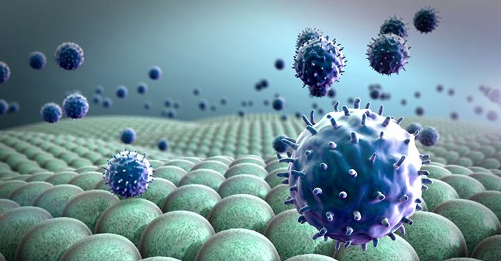 Вирус эпштейна-барра и рассеянный склероз 1 Вирус эпштейна-барра и рассеянный склероз