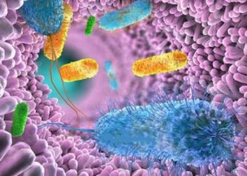 Сигнальный белок кишечника может вызвать воспаление нервной системы при РС 1 Сигнальный белок кишечника может вызвать воспаление нервной системы при РС