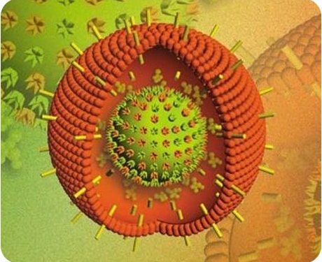Оценка специфических к вирусу Эпштейна-Барра антител у пациентов с рассеянным склерозом 1 Оценка специфических к вирусу Эпштейна-Барра антител у пациентов с рассеянным склерозом