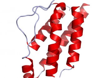 Интерлейкин-22 может быть биомаркером для мониторинга того, насколько хорошо пациенты с РС реагируют на терапию