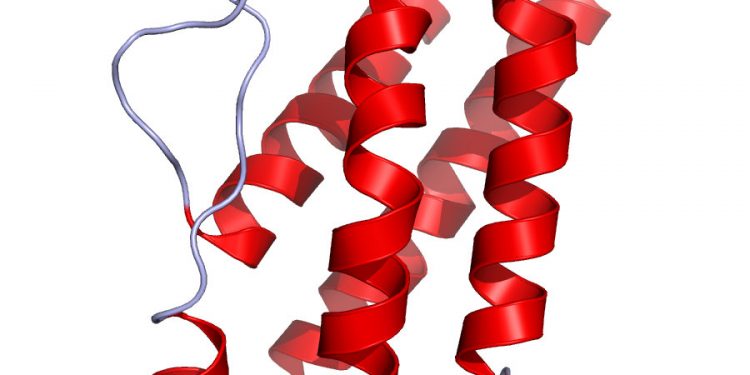 Интерлейкин-22 может быть биомаркером для мониторинга того, насколько хорошо пациенты с РС реагируют на терапию
