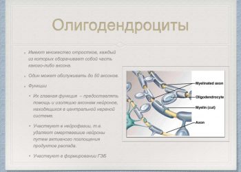 Исследование показывает, что гибель клеток головного мозга является возможной причиной рассеянного склероза