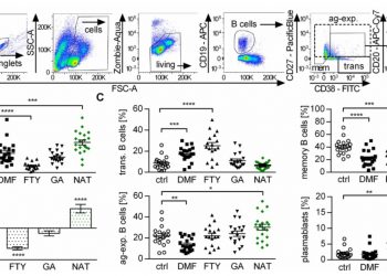 Натализумаб способствует активации и провоспалительной дифференцировке периферических В-клеток у пациентов с рассеянным склерозом