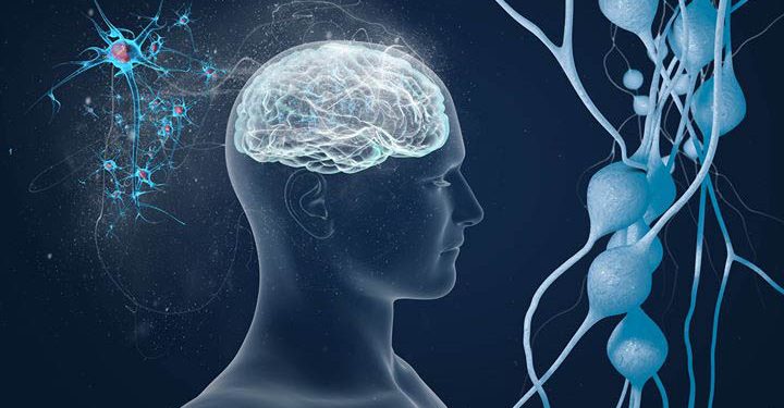 Рассеянный склероз: аутоиммунное или нейродегенеративное заболевание? 1 Рассеянный склероз: аутоиммунное или нейродегенеративное заболевание?