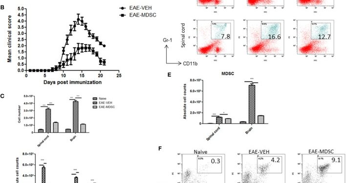 Каннабидиол ослабляет экспериментальную модель аутоиммунного энцефаломиелита с рассеянным склерозом путем индукции миелоидных клеток-супрессоров