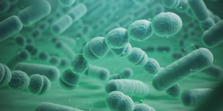 Рассеянность рассеянного склероза, связанная с некоторыми кишечными бактериями 1 Рассеянность рассеянного склероза, связанная с некоторыми кишечными бактериями