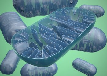 Исследование показывает, что клеточный метаболизм может стать новой терапевтической целью при рассеянном склерозе
