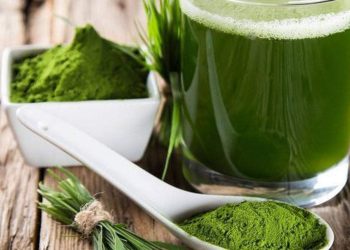 Флавоноидная терапия рассеянного склероза