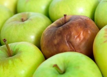 Преимущества урсоловой кислоты + источники пищи и побочные эффекты