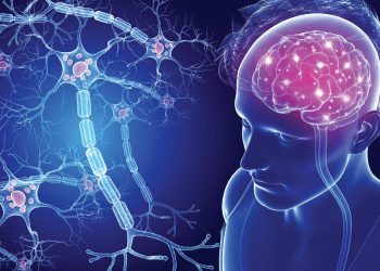 Небольшие изменения в генах могут влиять на выработку миелина