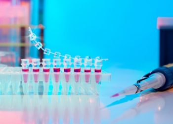 Уровень белка в нервных клетках — как биомаркер травмы головного мозга