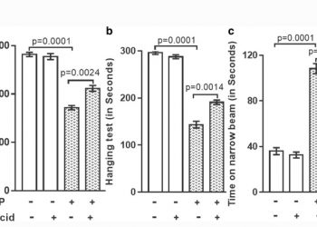 Противовоспалительная активность урсоловой кислоты в модели мышиного паркинсонизма, индуцированного MPTP