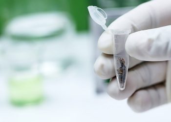 Что известно о медицинском каннабисе при рассеянном склерозе