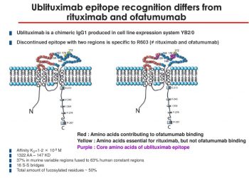TG Therapeutics объявляет о публикации результатов клинических испытаний фазы 2 ублитуксимаба